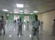 Academia de artes marciales mixtas los templarios,chiriqui